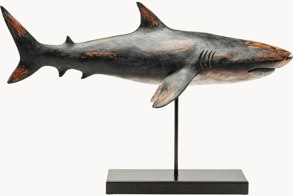 Dekorácia Shark Base