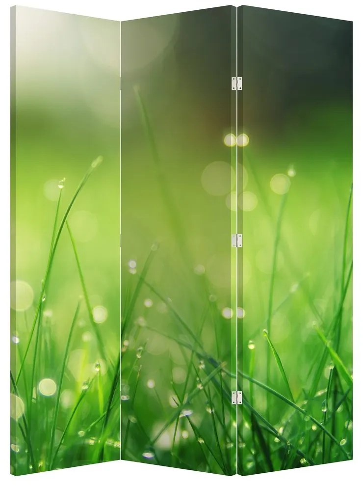 Paraván - Rosa na tráve (126x170 cm)