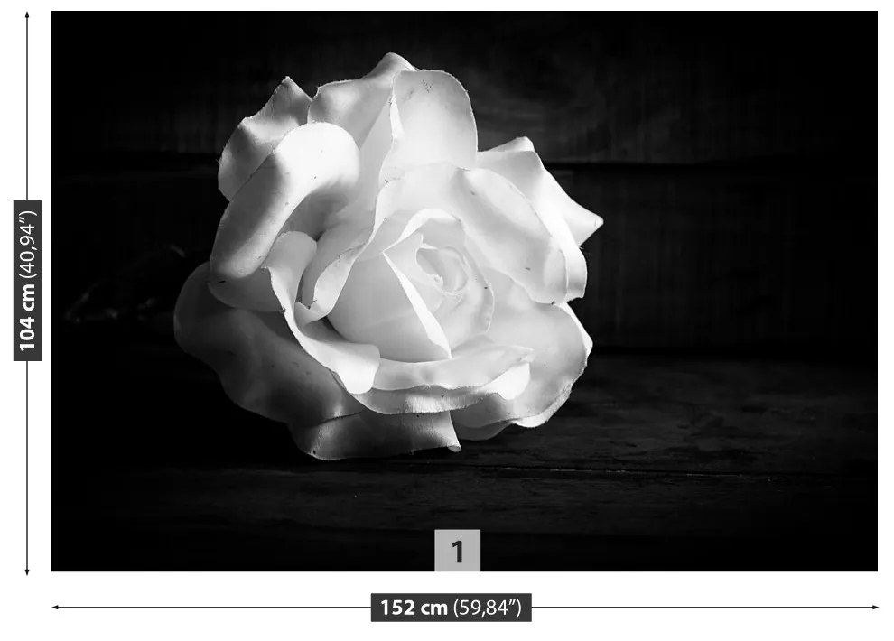 Fototapeta Vliesová Biela ruža 416x254 cm