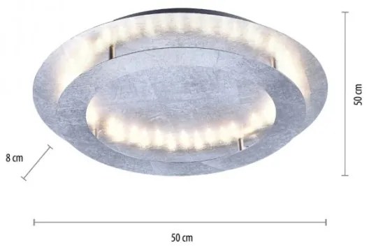 Paul Neuhaus 9621-21 - LED Stropné svietidlo NEVIS LED/24W/230V