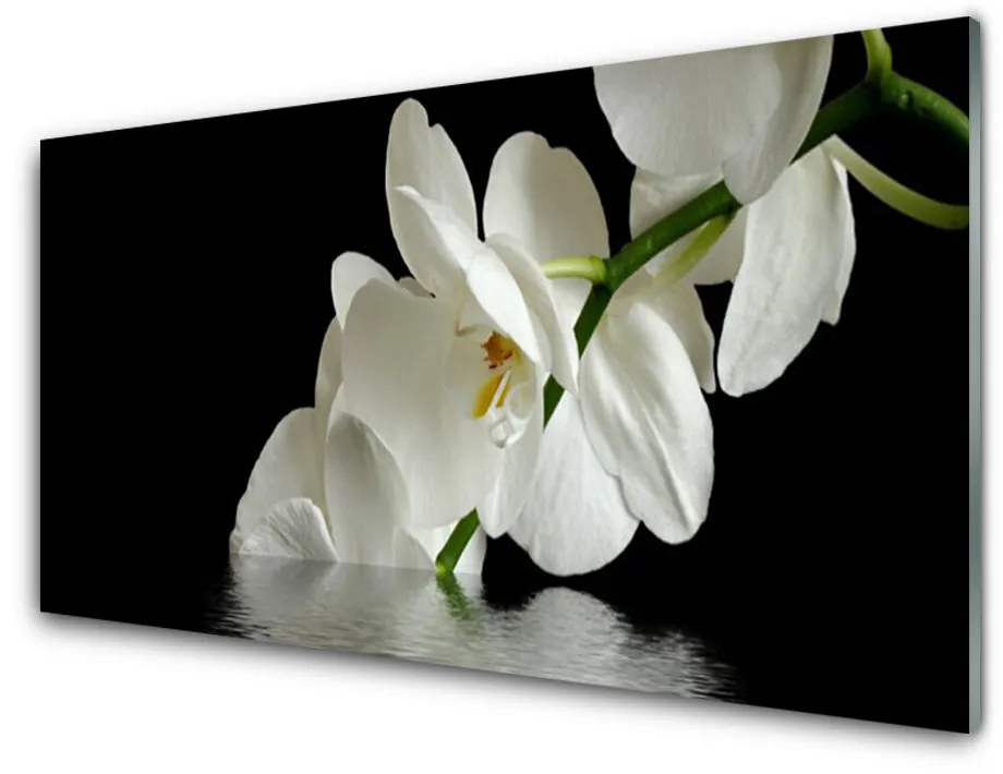 Skleneny obraz Orchidea vo vode kvety 140x70 cm