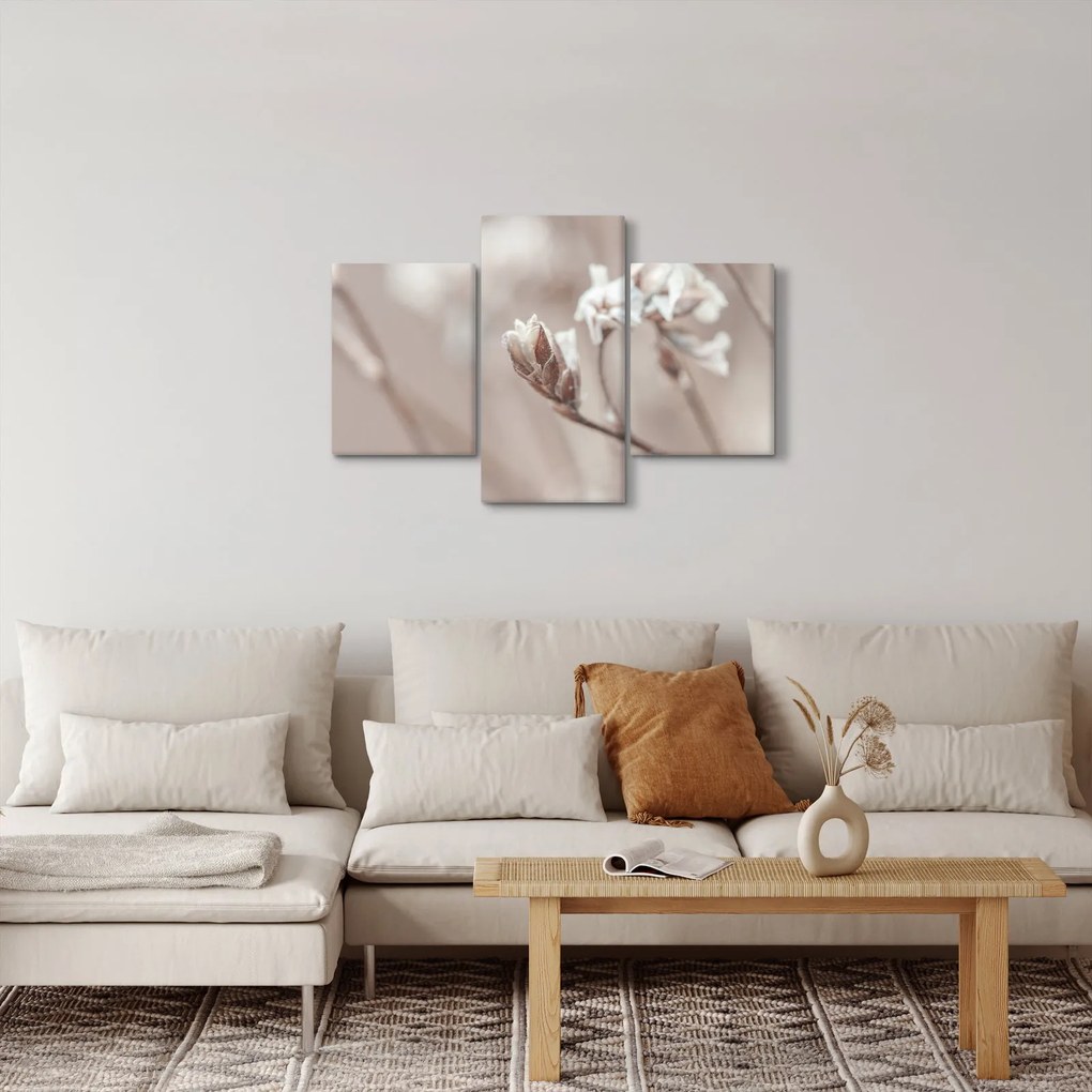 Obraz - Detail vetvy (90x60 cm)