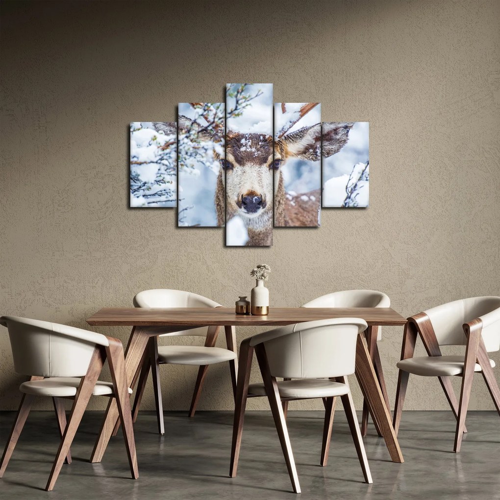 Obraz - Jelenec himalájsky (150x105 cm)