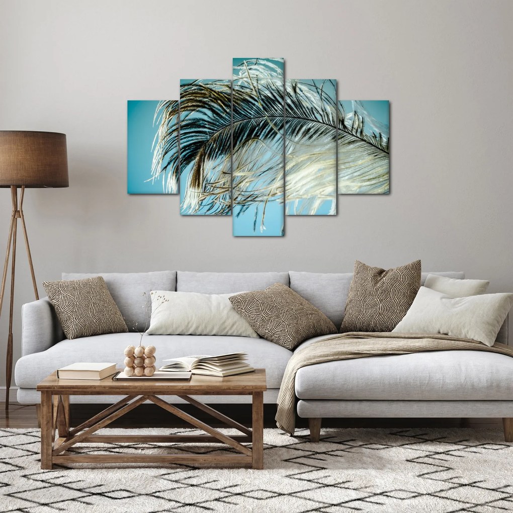Obraz pierka (150x105 cm)