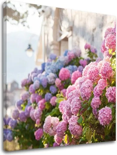 Obraz na stenu RUŽOVÉ KVETY_157-12