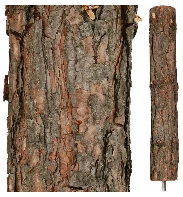 SPRINGOS Vianočný stromček Borovica na kmienku 160 cm