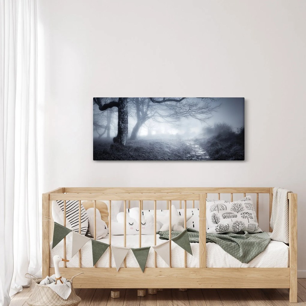 Obraz - Cesta v hmle (120x50 cm)