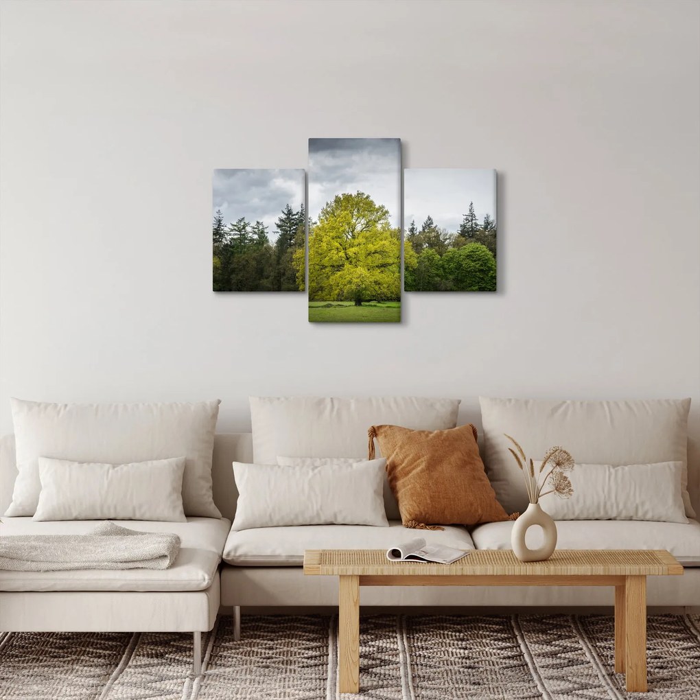 Obraz zeleného stromu uprostred poľa (90x60 cm)