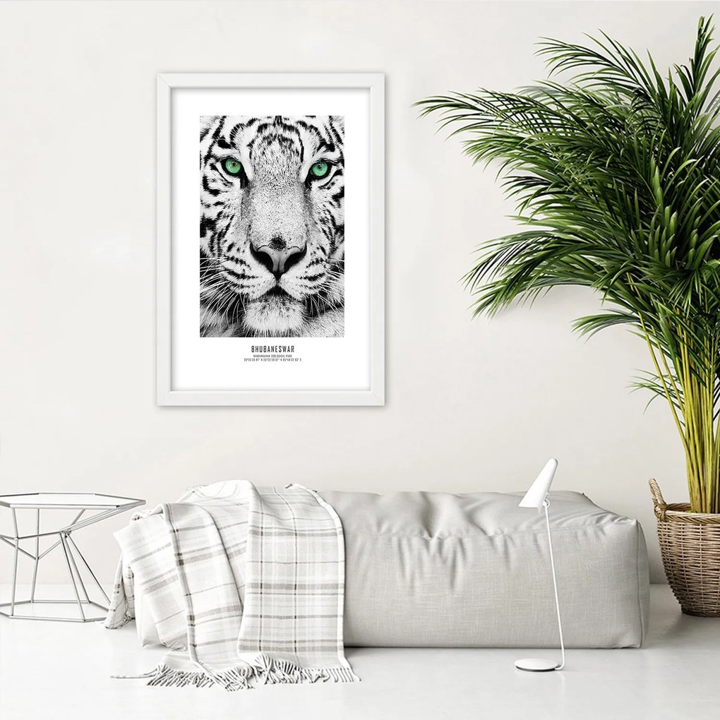 Gario Plagát Biely tiger Farba rámu: Bez rámu, Rozmery: 30 x 45 cm