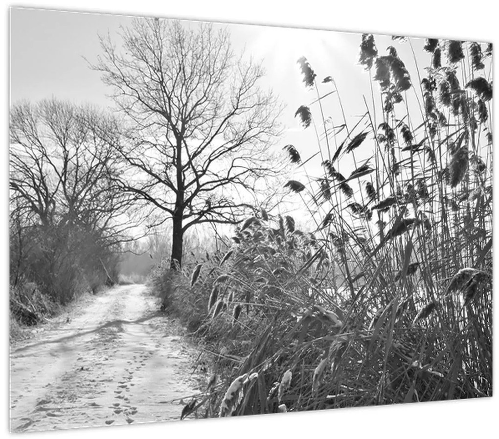 Obraz - Pole v zime (70x50 cm)