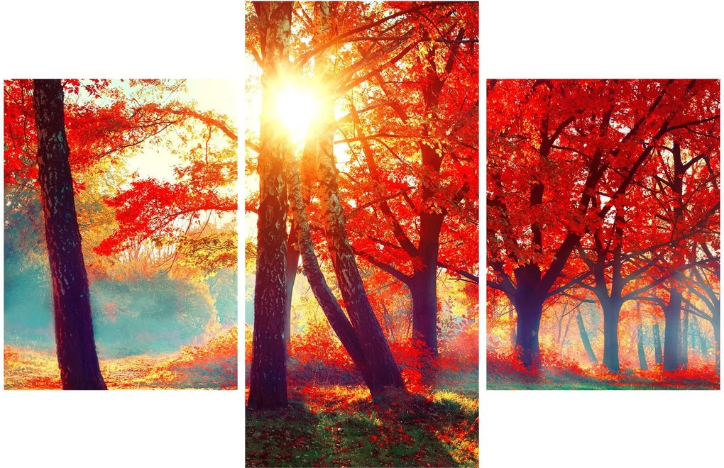 Obraz - Jesenná krajina (90x60 cm)