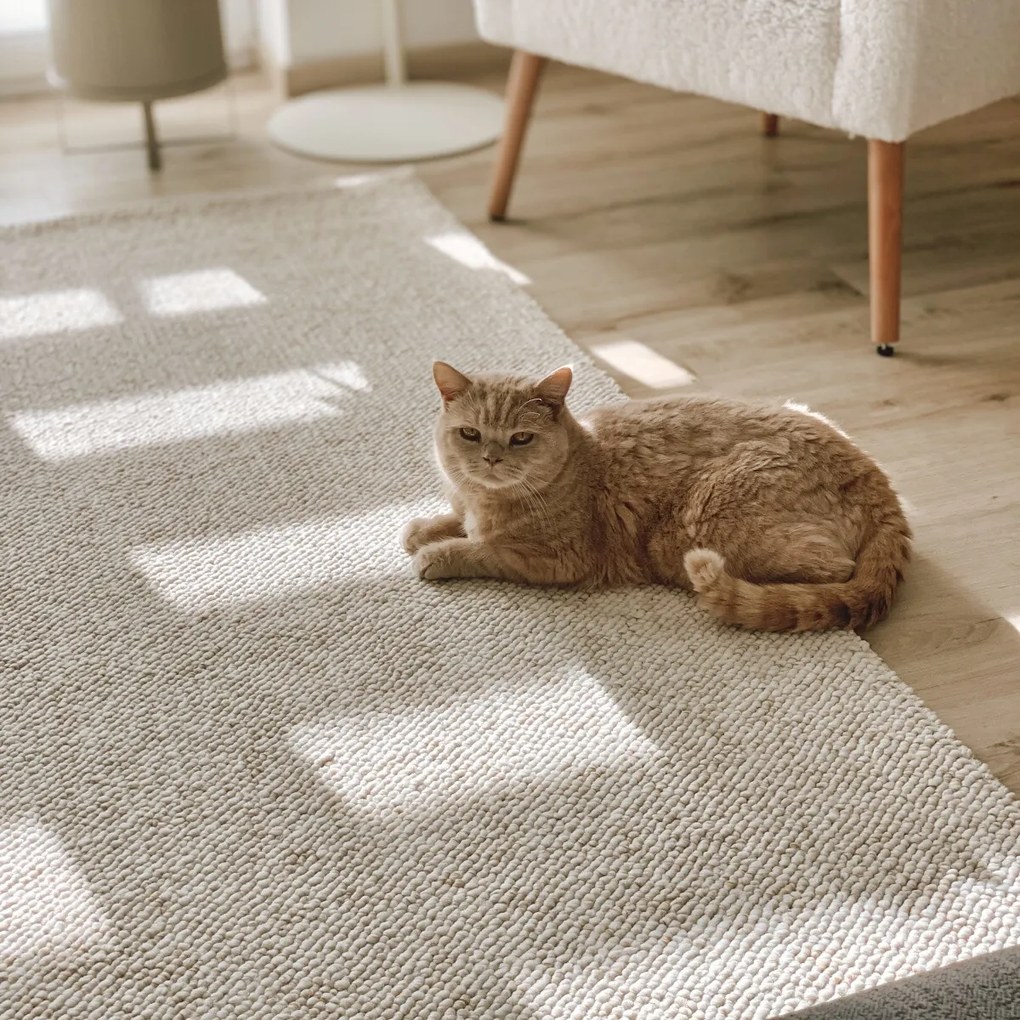 Kusový koberec Wolly Ultra 106228 Cream z kolekcie Elle, 240x340, biela, obývacia izba, ELLE Decoration