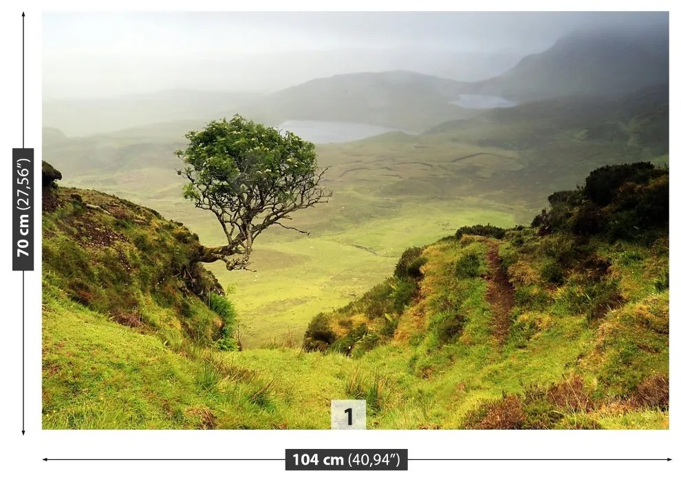 Fototapeta Vliesová Isle of skye škótsko 104x70 cm