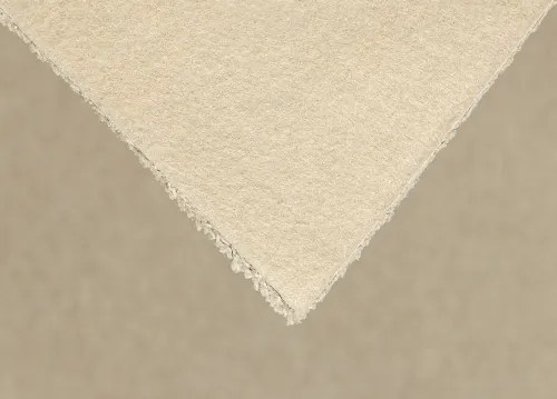 Koberce Breno Metrážny koberec REVOLUTION SUPREME 91, šíře role 400 cm, béžová