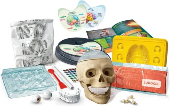 Veda Zábava Bláznivá anatómia Poľský jazykový set Clementoni 50697