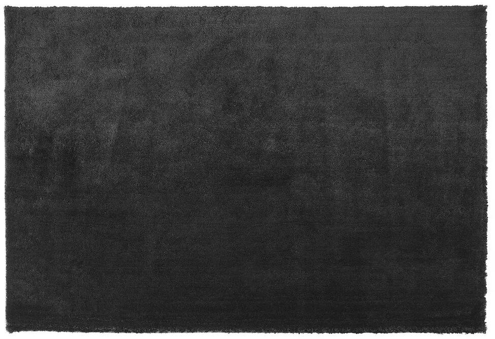 Koberec 200 x 300 cm čierny EVREN Beliani