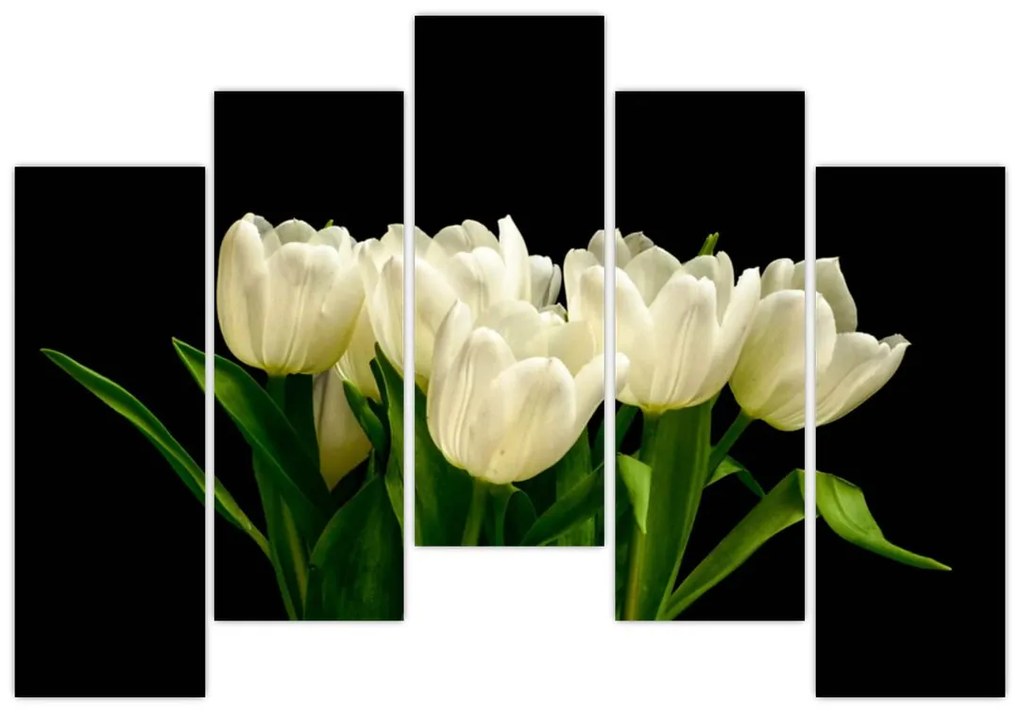 Biele tulipány - obraz