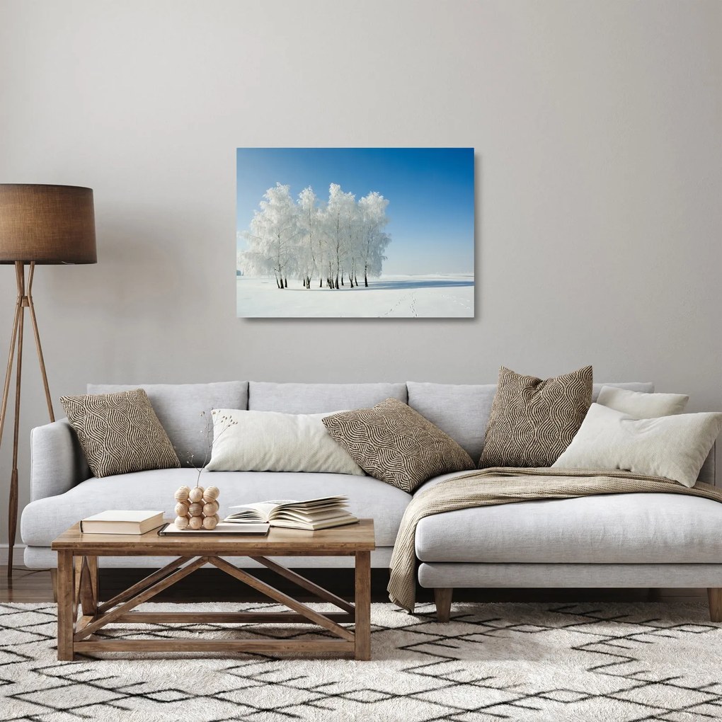 Sklenený obraz zasneženej krajiny (70x50 cm)