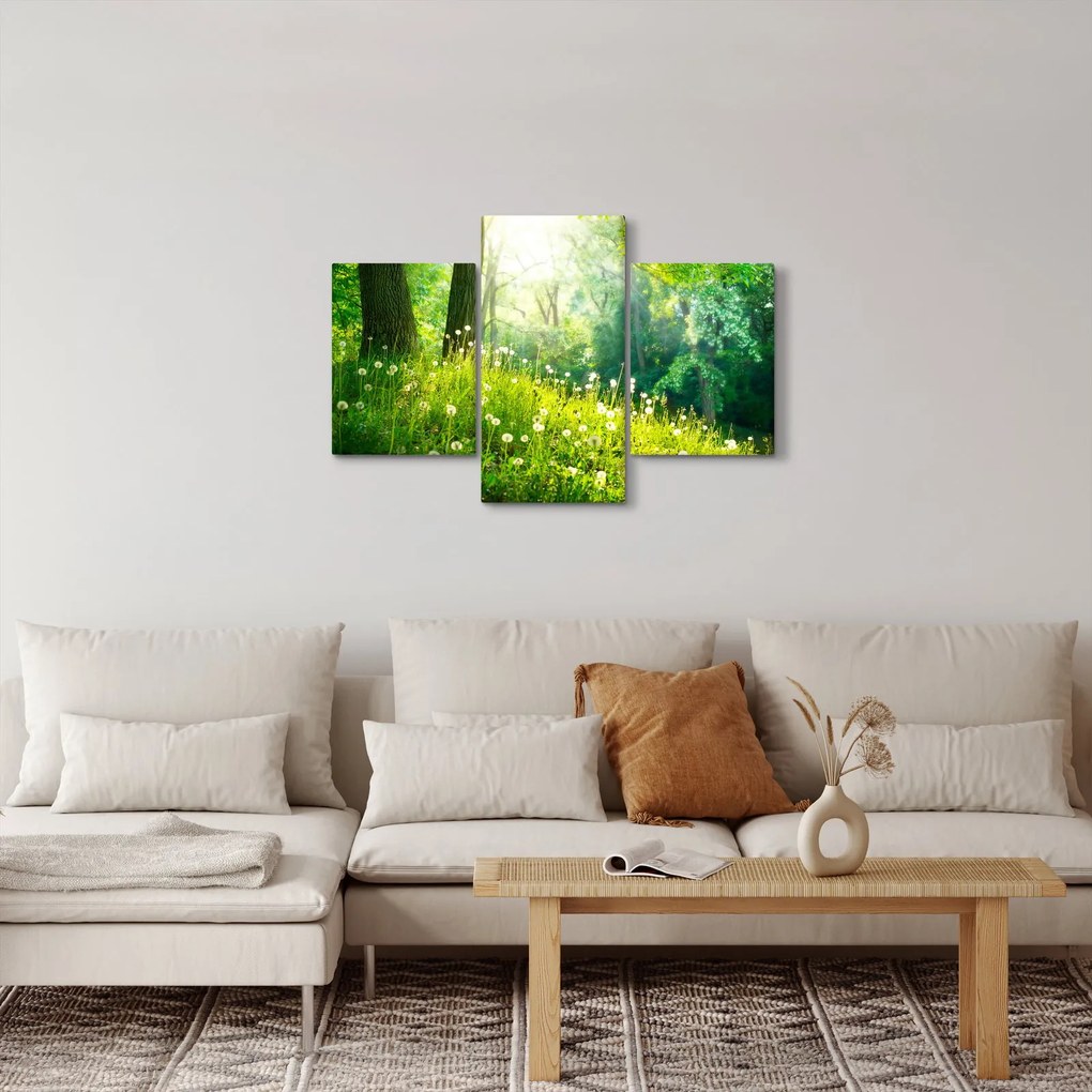 Obraz - Magická lúka plná púpav (90x60 cm)