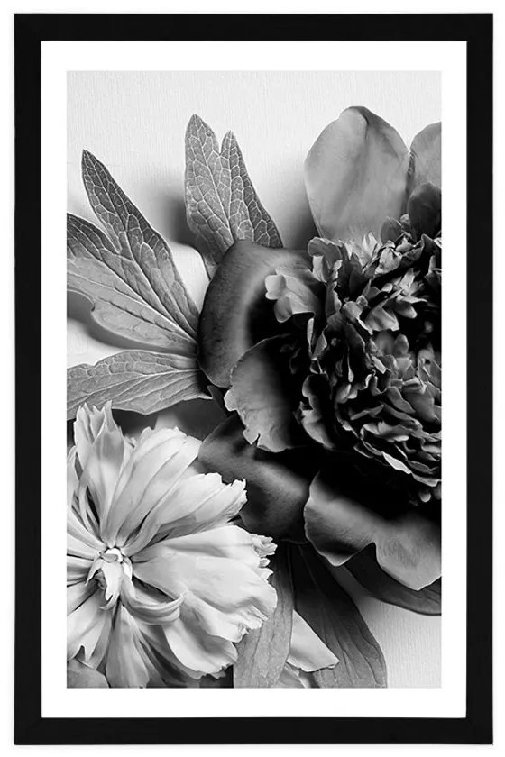 Plagát s paspartou pivonky v čiernobielom prevedení - 40x60 silver