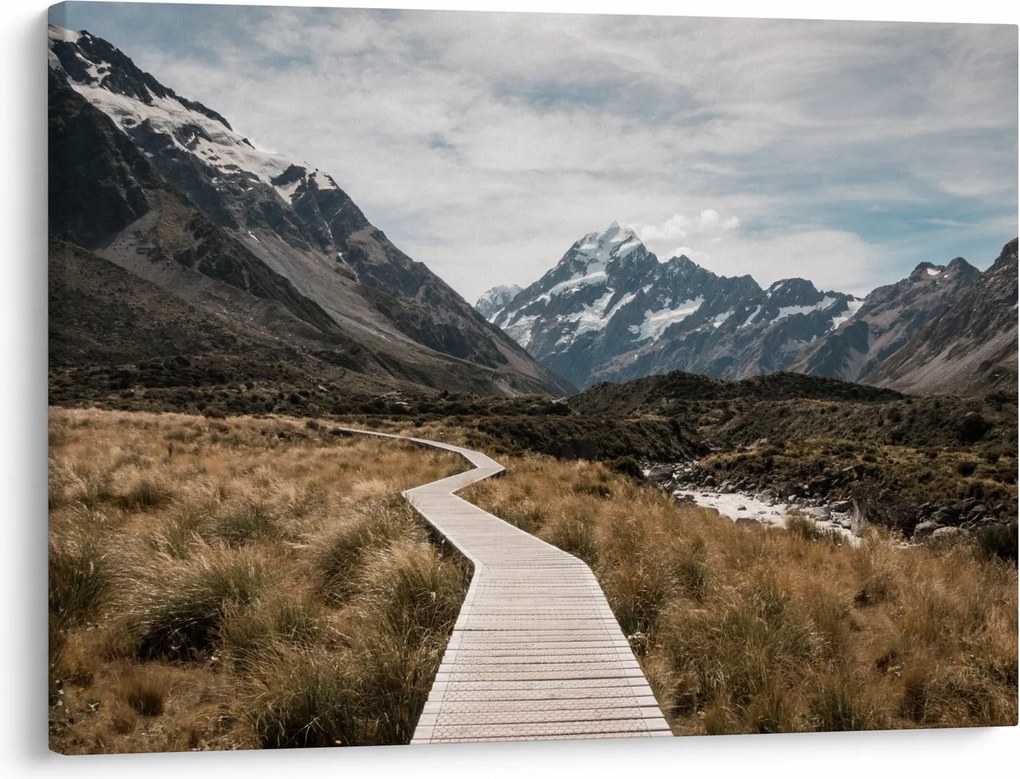 Obraz - Chodník v údolí hory Mt. Cook (70x50 cm)