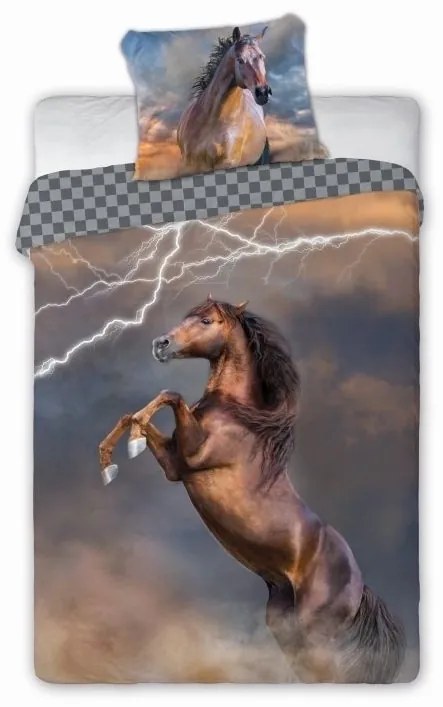 Detské obliečky Kôň FARO 140x200+70x90