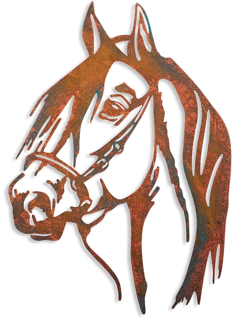 Horse - 1