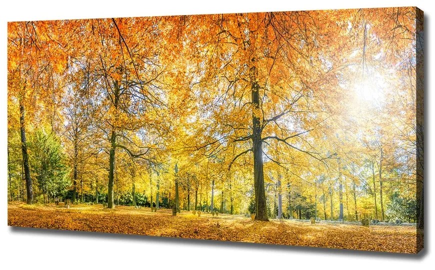 Foto obraz na plátne Jesenný les pl-oc-120x60-f-70578437
