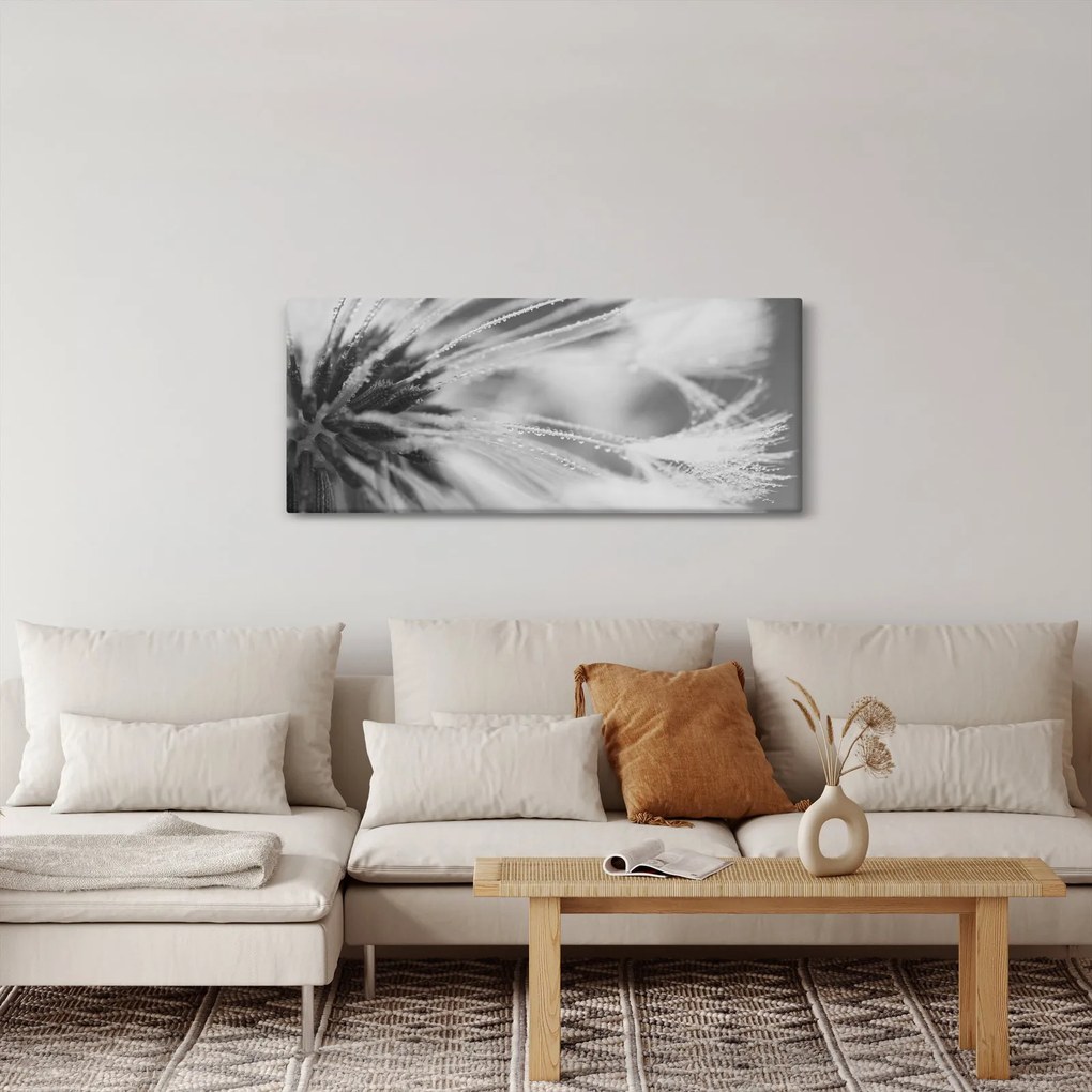 Obraz - Púpava (120x50 cm)