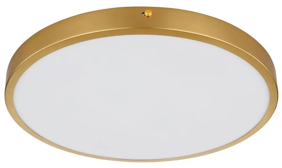 Globo 12381-22 - LED Stropné svietidlo TIBEY LED/22W/230V pr. 35 cm