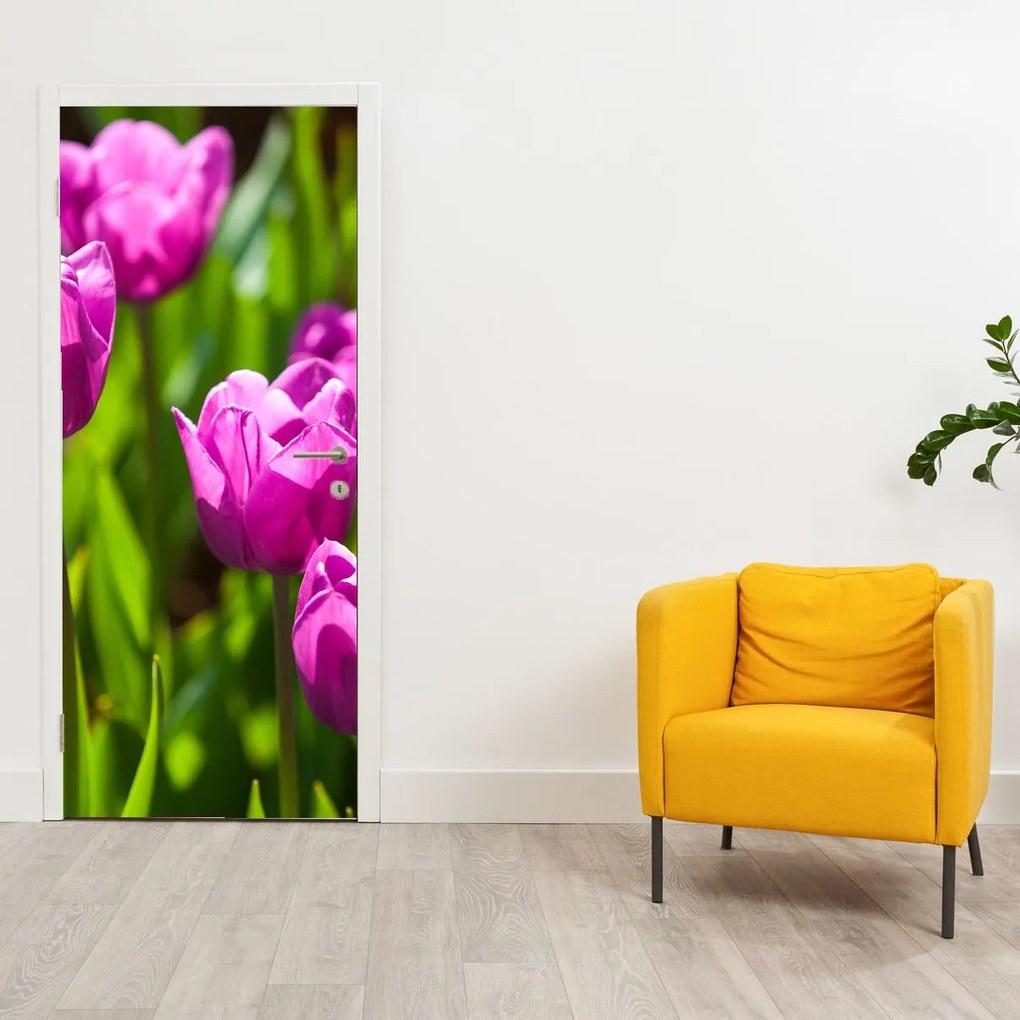 Fototapeta na dvere - Tulipány na lúke (95x205cm)