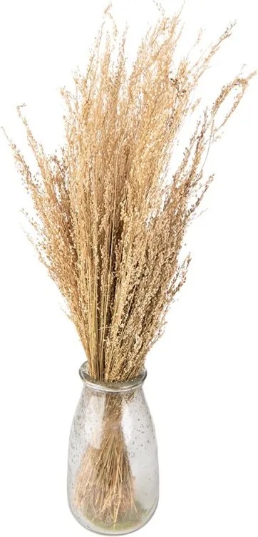 Dekorácia béžová sušená kvetina - 60 cm (100 gr)