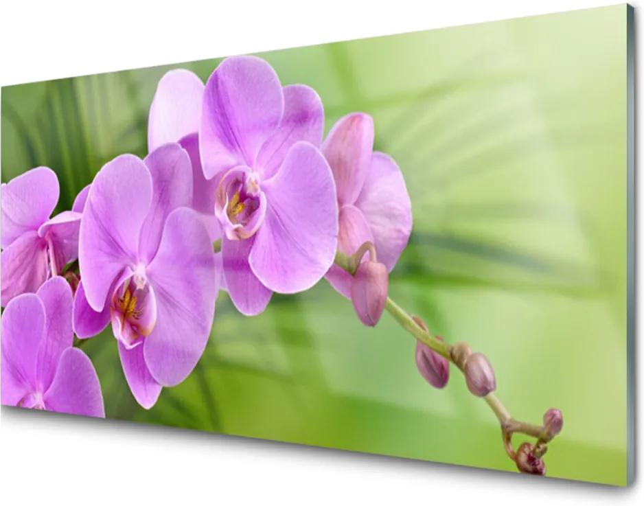 Sklenený obklad Do kuchyne Vstavač Orchidea Kvety