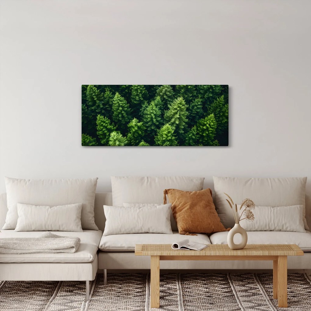 Obraz - Les (120x50 cm)