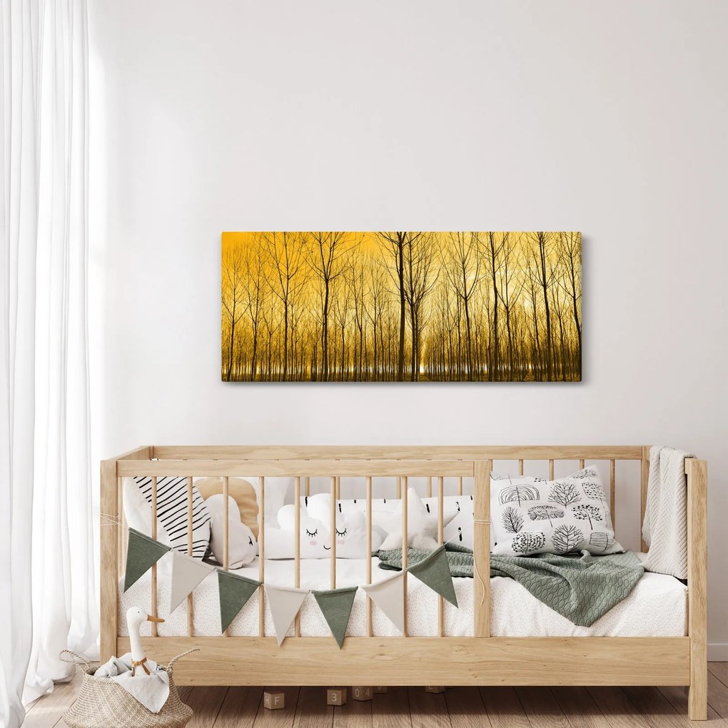 Obraz lesa pri západe slnka (120x50 cm)