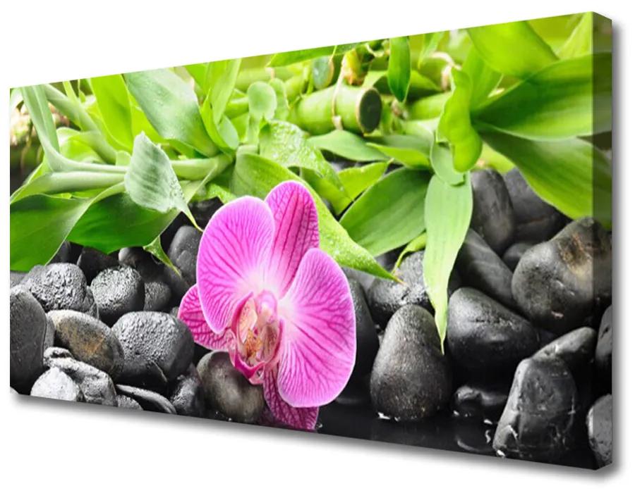 Obraz Canvas Kvety orchidea kamene zen 120x60 cm