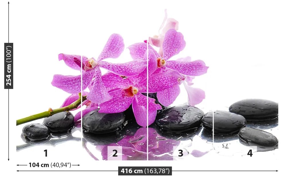 Fototapeta Vliesová Ružová orchidea 250x104 cm