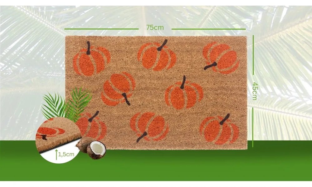 Rohožka 45x75 cm Mix Mats - Hanse Home
