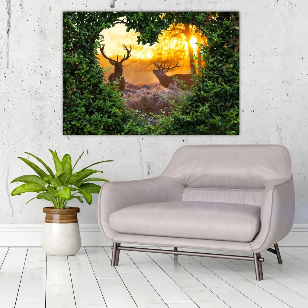 Abstraktný obraz na stenu