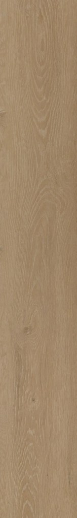 Oneflor Vinylová podlaha lepená ECO 55 059 Prestige Oak Light Amber - Lepená podlaha