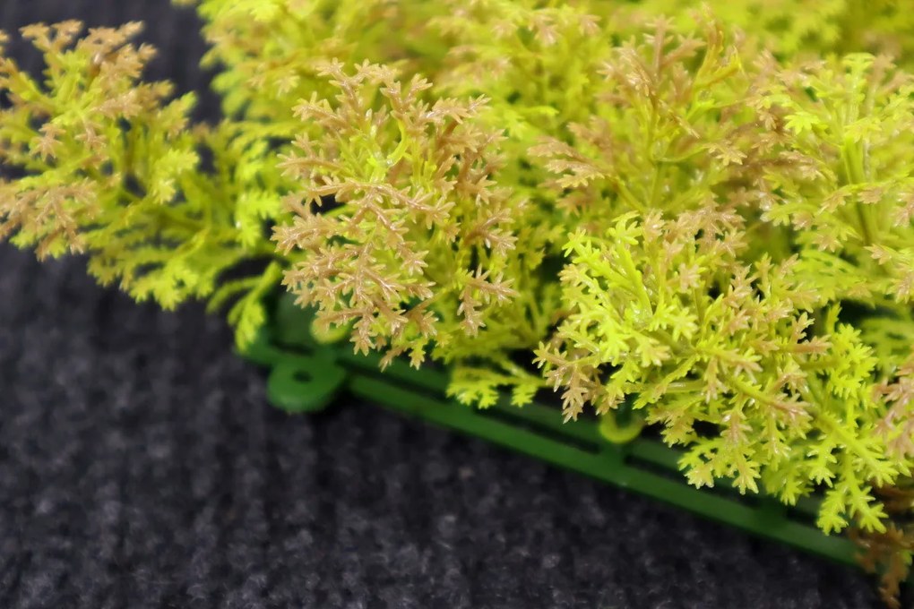 Umelý rastlinný panel KATE MOSS 50 x 50 cm - Panel 50x50 Europe Grass