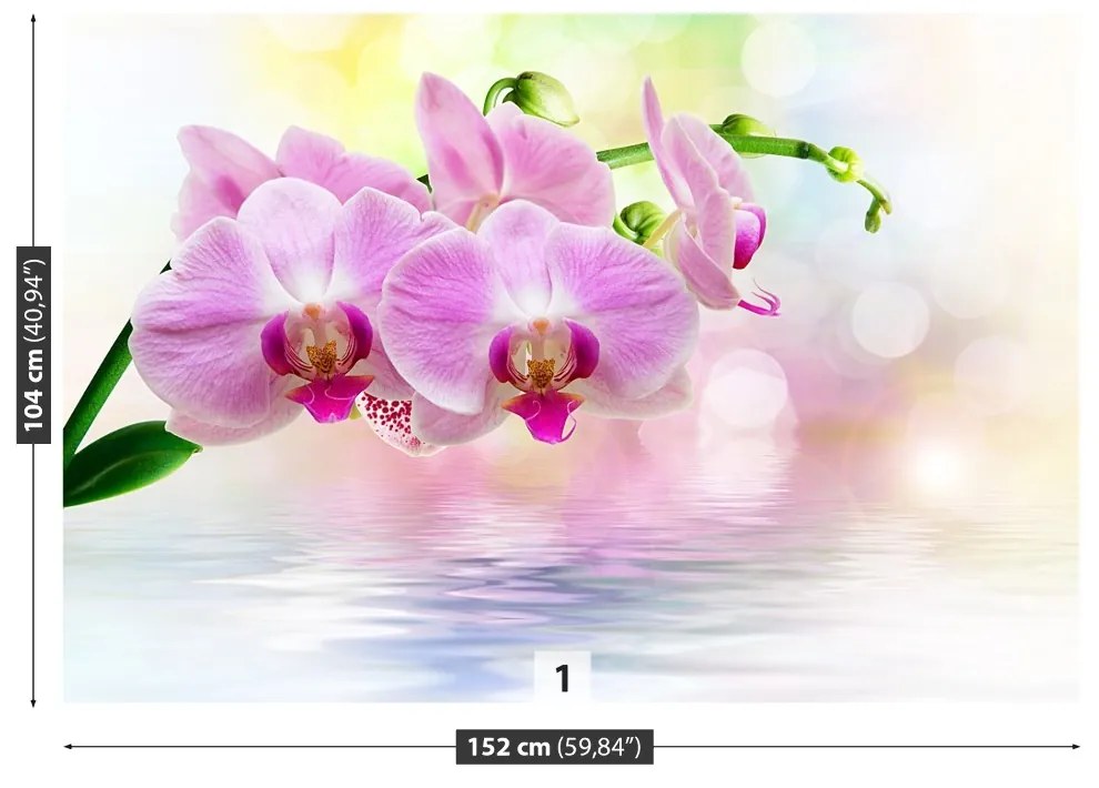 Fototapeta Vliesová Orchidea ruže 152x104 cm