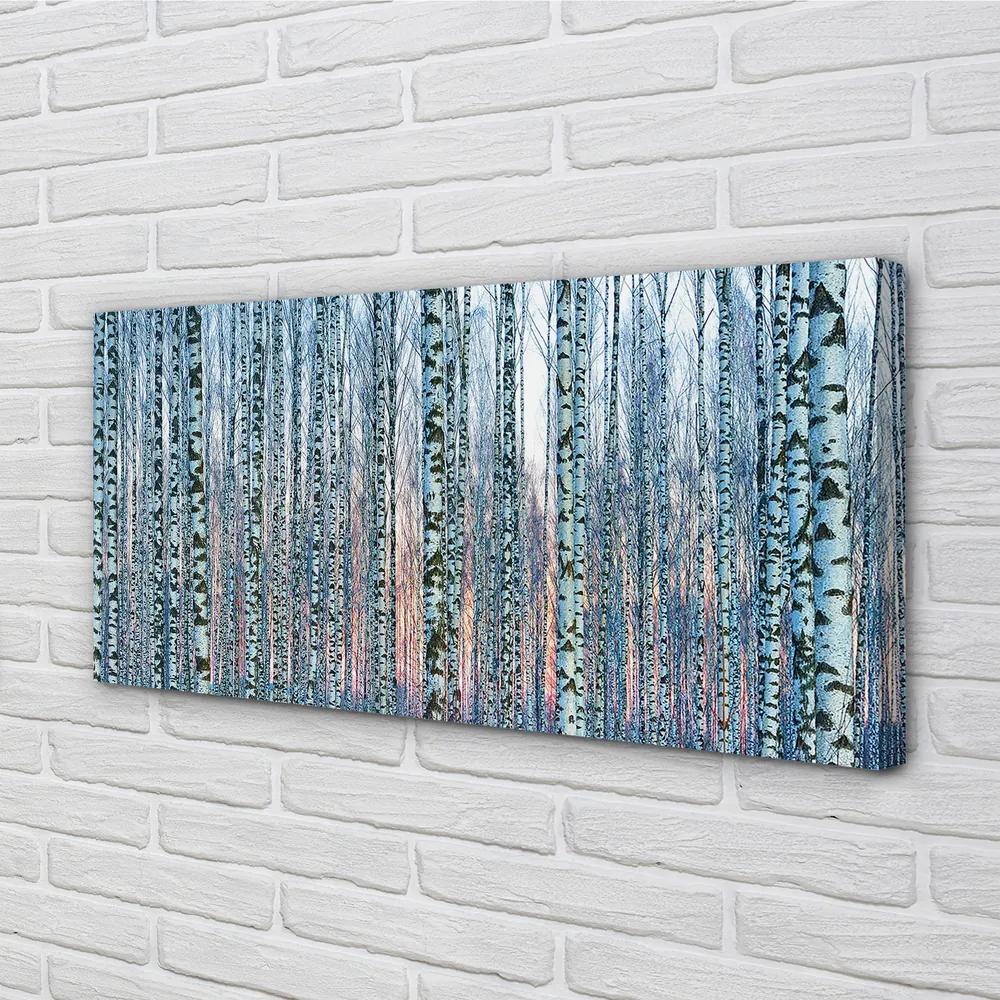 Obraz canvas Brezového lesa pri západe slnka 125x50 cm