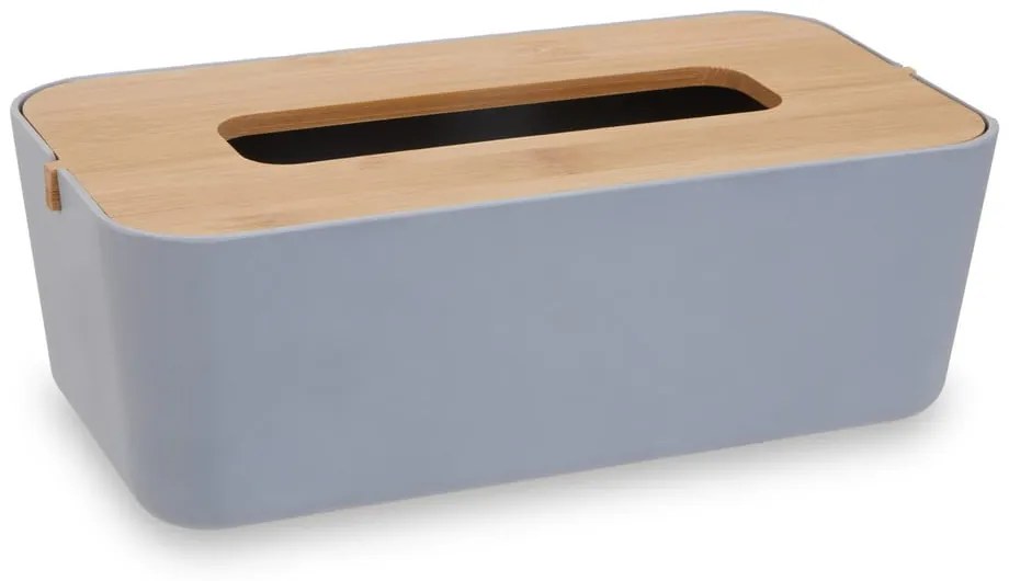 Plastový box na vreckovky Canyon – Premier Housewares