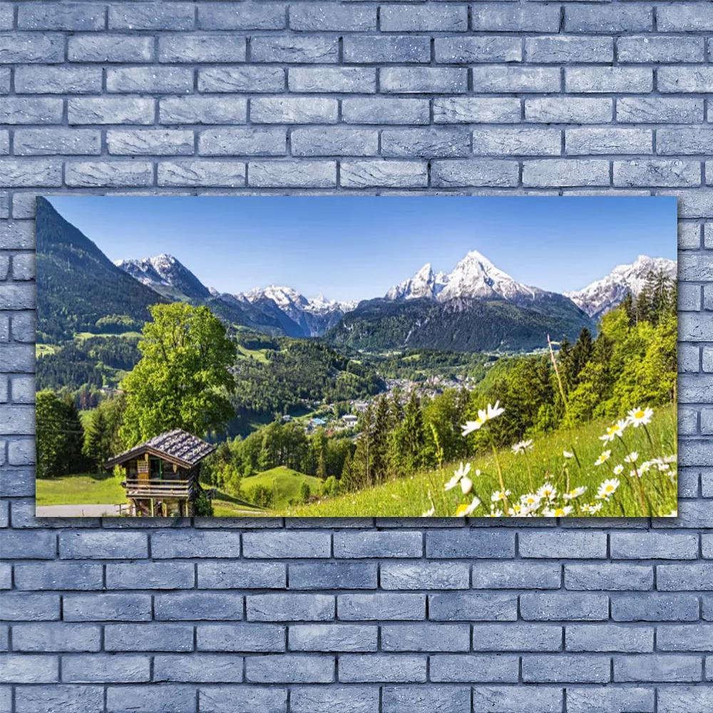Obraz na akrylátovom skle Hora pole príroda 120x60 cm