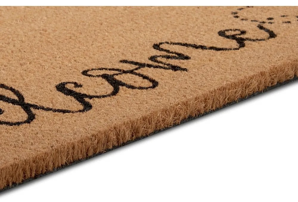 Rohožka 70x45 cm Mix Mats - Hanse Home