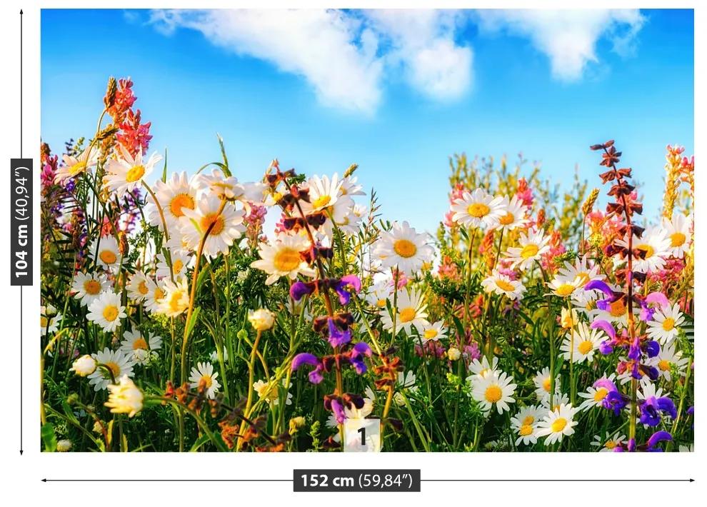 Fototapeta Vliesová Jarné kvety 152x104 cm