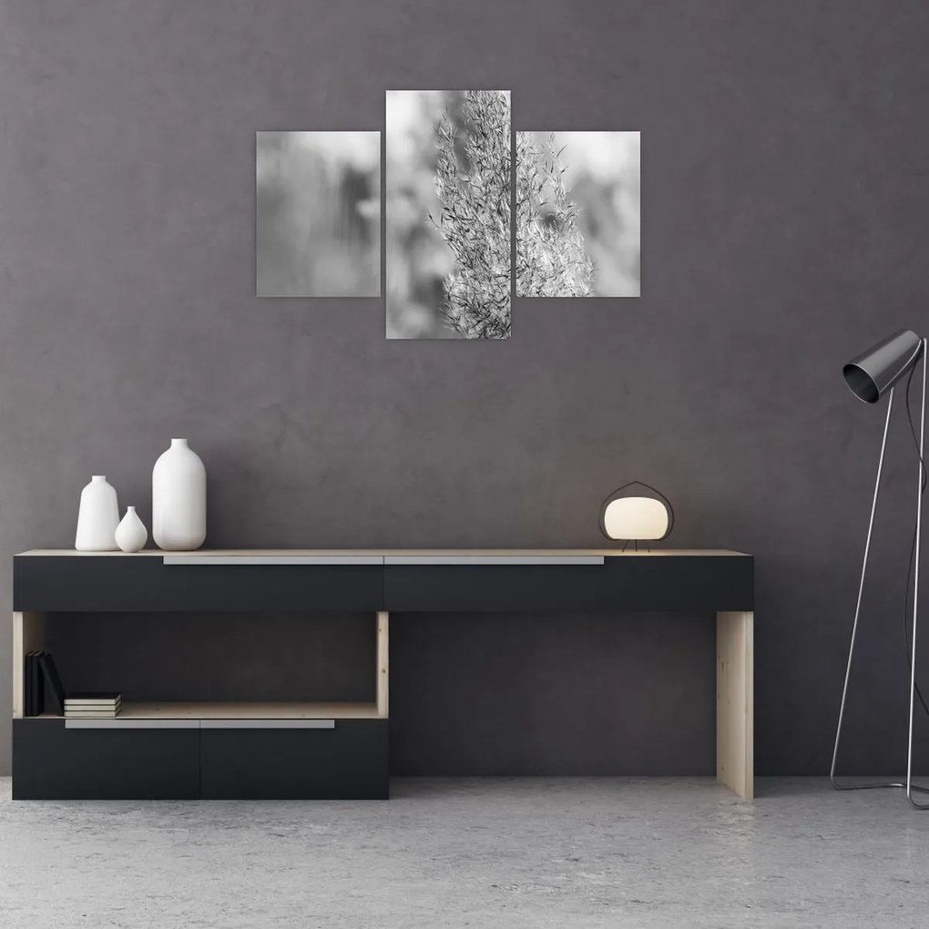 Obraz - Boho pampas grass (90x60 cm)