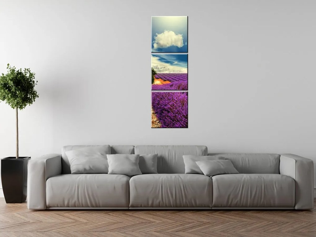 Gario Obraz na plátne Čarovná levanduľová krajina - 3 dielny Rozmery: 90 x 30 cm