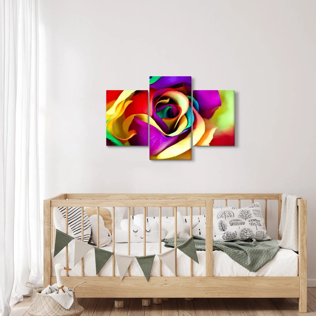 Obraz - Farebná ruža (90x60 cm)